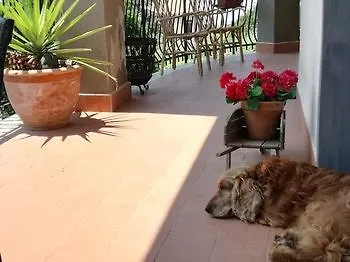 Casa Degli Ulivi Etna Hotel Ragalna